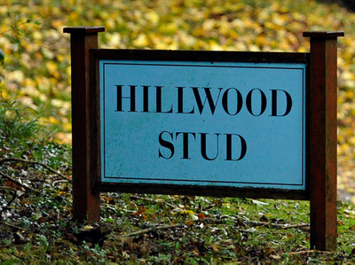 Hillwood Stud | ROA